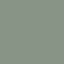 NA-79-PP-15 menta