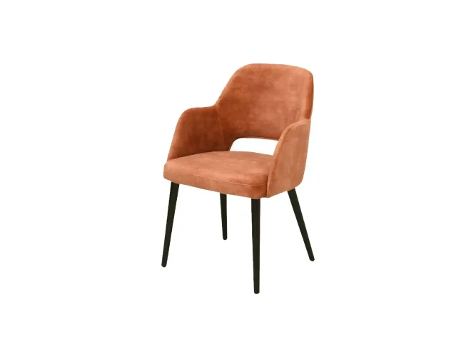 designová židle